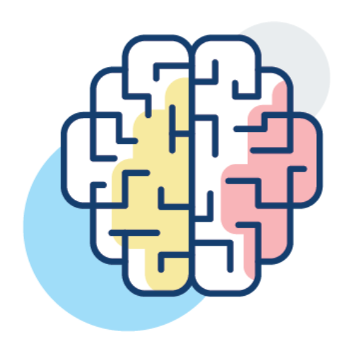 An illustration of a brain